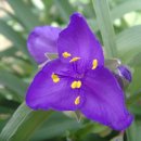 복음한의원 이미지