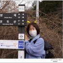 103회 버스도보는 밤재에서 현천제까지 걷기 이미지