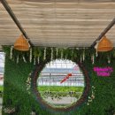 딸기주유소 이미지