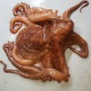 화성락실내바다낚시터 이미지