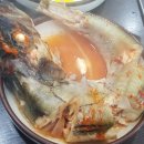 지푸라기 동태한마리 티스토리