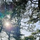 송학 사회인야구장쉼터 | 9부 능선의 강천사와 송학산 / 제천