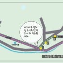 향양2리 Daum카페