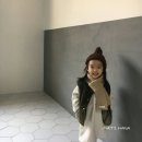 마츠하나 이미지