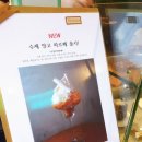 잠실 카페 디저트 맛집 작지만 강한 티엠 디저트랩