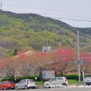 대가야역사테마관광지 | [경북 고령군] 도진마을무릉원 :: 대가야역사테마관광지 ::대가야박물관 ♬
