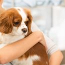 Dr.J동물병원 이미지