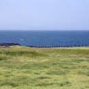 제주휴가 이미지