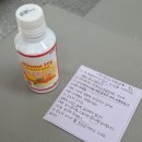 미즈산부인과의원 | [임신 19주차] 임신 중기 전원｜원주 미즈 산부인과 방문 후기