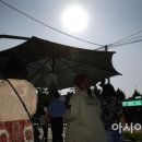 그늘막81 이미지