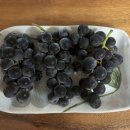 지우농장 이미지