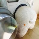 세탁갤러리 이미지