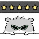 누리댕댕 이미지