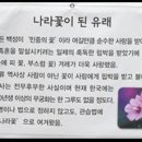 무궁화 나라꽃인 이유 이미지