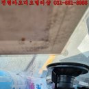 안중카케리어 이미지