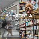 웰니스 동물병원 | [광주 광산구 강아지 스케일링] 웰니스동물병원, 내돈내산 추천후기