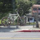 예미MTB마을호스텔 | 정선군 예미리 MTB 마을