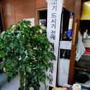 동수네오면돼지