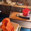 펜션톡민박 | 제주도 동쪽 가볼한곳 함덕 근처 감귤체험 드림농원 내돈내산 후기