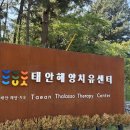 래쉬부스 - 구미시 | 부모님과 가볼만한 추천 여행지 태안해양치유센터 내돈내산 후기