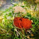 달래네 하우스 이미지