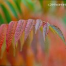 유자원 | 더 잘 모시는 추천 동대문구 요양원 노인전문요양시설유자원 편안한 돌봄 환경