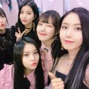 오베스트 이미지