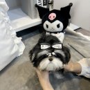 멜로디펍스 이미지