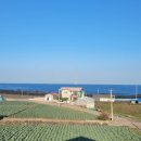 모아나스테이 이미지