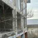 용산-83 | 용산 우대 갈비 맛집 몽탄 제주점 내돈내산 방문 후기