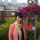 행운동주민센터 이미지