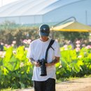 교세라커넥터프로덕츠코리아 | PGYTECH NEW 카메라 스트랩 - Camera Strap Pro &amp; Master -