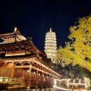 무우헌 | [상하이] 근교여행 일일투어 추천 : 복원고진 수향마을 멋진 야경