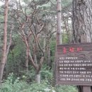 소양강둘레길 1코스 이미지