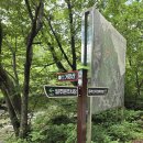 25,7,22(大暑).경남 함양 안의면 용추자연휴양림과 용추사,용추폭포(힐링코스). 이미지