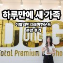 보성이탈리안그레이하운드 2 | 이탈리안그레이하운드 분양 후기, 세종 원독에 온 지 하루만에 새 가족 만났어요
