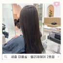 (주)세종교통 | 세종 다정동 미용실 엘리제헤어 2호점 톤다운·클리닉 후기