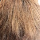 라온헤어 이미지