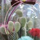 신동아미소공인중개사사무소 이미지