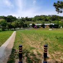 조도초등학교대마분교장 이미지