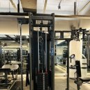 라인핏피티 이미지