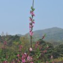 남산면내 이미지