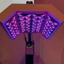 김정문알로에 구로지점 | 구로두피관리 탑스칼프 구로디지털점 꼼꼼한 진단부터 케어까지