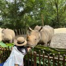 임자부분정비 | [싱가포르🇸🇬] yy Kafei dian / 만다이 동물원 먹이주기 🦏🐘🐢 / 점보씨푸드 리버사이드점 / 리버크루즈...
