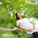 엘림스튜디오 Daum카페