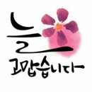 🌹9월 4일 수요일 강방출석부🌹 이미지