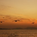 노을바다풍경 이미지