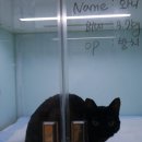 와니동물병원 이미지