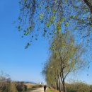 포동빗물배수펌프장 이미지