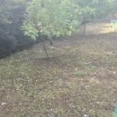 김창희공인중개사사무소 이미지